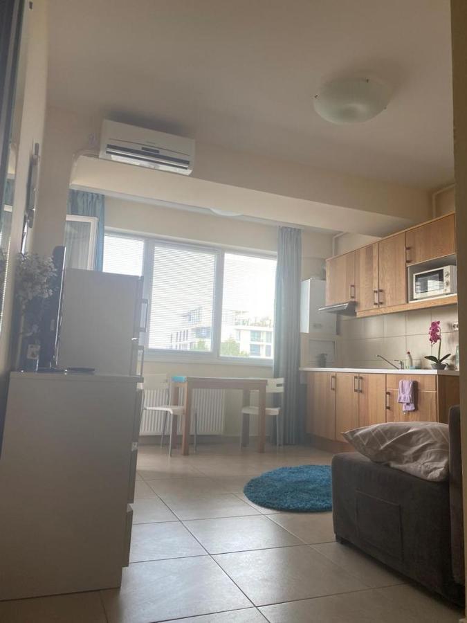 Apartament Summerland La Malul Marii Negre ママイア エクステリア 写真