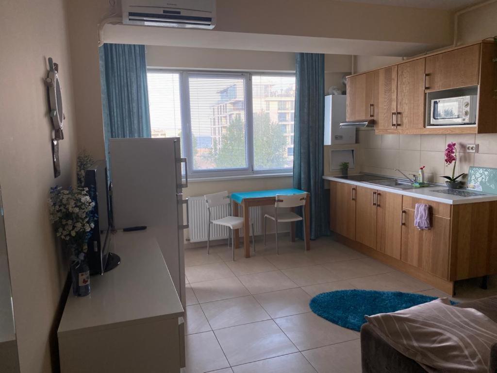 Apartament Summerland La Malul Marii Negre ママイア エクステリア 写真